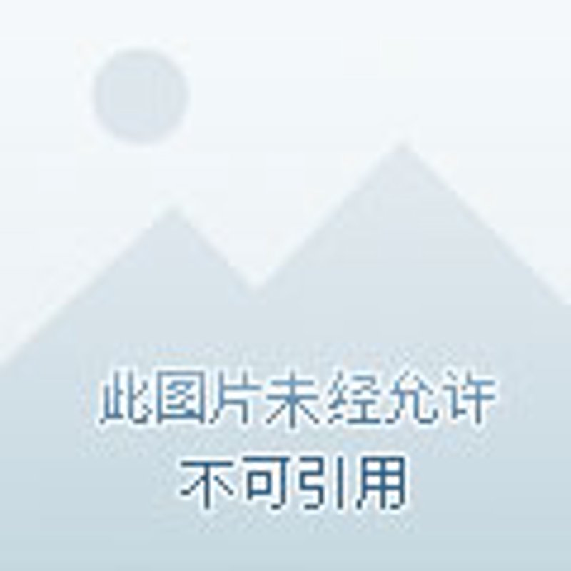 网购商城选购指南：轻松买到满意商品